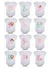 Kit Body de Bebê Mesversario Manga Curta Circo 12 Bodies 1 a 12 Meses