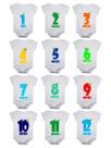 Kit body mesversario manga curta números chapéu 12 bodies de bebê 1 a 12 meses Kit body mesversario manga curta números chapéu 12 bodies de bebê 1 a 12 meses