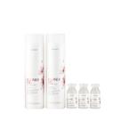 Kit Braé Blonde Oil By Ana Paula Siebert - Shampoo 250ml + Condicionador 250ml + Ampola 13ml (3 Unidades)