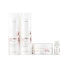 Kit Braé Blonde Oil By Ana Paula Siebert - Shampoo 250ml + Condicionador 250ml + Máscara 200g + Ampola 13ml