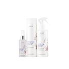 Kit Braé Intense Repair By Ana Paula Siebert - Shampoo 250ml + Hair Repair 260ml + Óleo 60ml