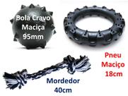 Kit Brinquedos Pet Bola, Pneu e Mordedor Cães Grande Porte