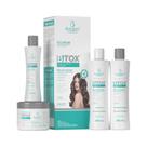 Kit Btox Plástica Capilar Colágeno 4 Itens Bio Instinto