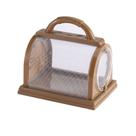 Kit Bug Catcher Visualizador de insetos de plástico com lupa para crianças