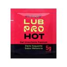 Kit C/ 12 Sachê Lubpro Hot Melancia Sachê 5G Feitiços Kit C/ 12 Sachê Lubpro Hot Melancia Sachê 5G Feitiços