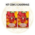 KIT C/2 CX's Vela Aromática Para Rechaud Indiana Goloka