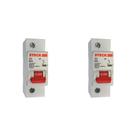 Kit C/2 - Disjuntor Steck Din Unipolar 80A Sd1 C Sdd1C80