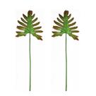 Kit c/ 2 Folhagem Artificial Philo Real Toque Verde 75cm Flor Arte Kit c/ 2 Folhagem Artificial Philo Real Toque Verde 75cm Flor Arte