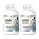 Kit C/2 Magnésio Dimalato 120 Capsulas - Fits Life Kit C/2 Magnésio Dimalato 120 Capsulas - Fits Life