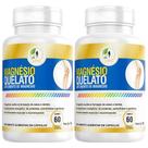 KIT C/2 Magnesio Quelato 500mg 60cps Puro Concentrado Fits