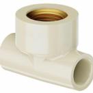 Kit c/2 Tê Transição 1/2x15mm Aquatherm Bege Tigre