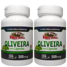 Kit C/2 Un. Extrato De Oliveira 120 Cápsulas Rei Terra