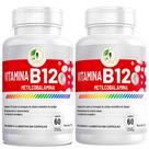 KIT C/2 Un. Vitamina B12 Metilcobalamina Fits Life 60 cápsulas - Fits Life