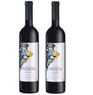 KIT c/2 Vinhos Tinto Fino Seco Cabernet Sauvignon Reserva Monte Pachoal 750ml