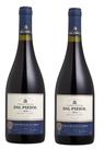 Kit C/2 Vinhos Tinto Fino Seco Gamay Beaujolais Dal Pizzol