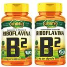 KIT C/2 Vitamina B2 Riboflavina Pura 120 Caps Vegano Unilife