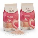 Kit c/ 2und Sal Rosa do Himalaia Grosso Q-VITA 500g Kit c/ 2und Sal Rosa do Himalaia Grosso Q-VITA 500g