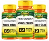 Kit C/3 Ácido Fólico Vitamina B9 240mcg 60 Cápsulas Unilife