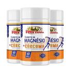 Kit C/3 Cloreto de Magnésio Cúr cu ma 60 Cáps Rei Terra