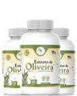 KIT C/3 Extrato de Oliveira 120 Cápsulas 500mg - Fits Life