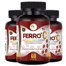KIT C/3 Ferro Vitamina C Quelado Premium 60 Cáps Fits Life KIT C/3 Ferro Vitamina C Quelado Premium 60 Cáps Fits Life