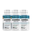 Kit C/3 Magnésio malato Floral Ervas 120 Cápsulas