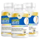 Kit C/3 Magnesio Quelato 500mg 60cps Puro Concentrado Fits
