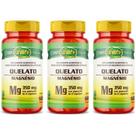 KIT C/3 Magnésio Quelato Mg Puro 700mg 180 Caps Vegano Unilife