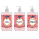 Kit c/3 Sabonete Líquido 1Lt Premisse Morango com Champagne
