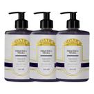 Kit C/3 Sabonete Liquido Coala Orquidea Negra 500 ml