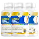 KIT C/3 Un Magnésio Quelato Mg Puro Premium 260mg 60 Cápsulas - Fits Life