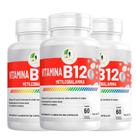 Kit C/3 Vitamina B12 Metilcobalamina Fits Life 60Cáps