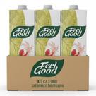 Kit c/ 3und Chá Branco c/ Lichia Zero Caloria FEEL GOOD 1L