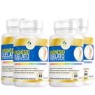 Kit C/4 Magnesio Quelato 500mg 60cps Puro Concentrado Fits