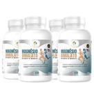 KIT C/4 Potes Magnésio Dimalato Premium Puro 120 Cápsulas 500mg - Fits Life