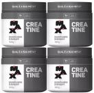 Kit c/ 4 un - creatine monohidratada pote 300g - creatina max titanium Kit c/ 4 un - creatine monohidratada pote 300g - creatina max titanium