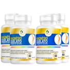 KIT C/4 Un Magnésio Quelato Mg Puro Premium 260mg 60 Cápsulas - Fits Life