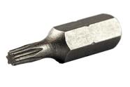 Kit c/ 5 Ponta Bit Torx 25mm X 1/4 XT10 Beltools
