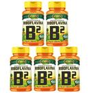 KIT C/5 Vitamina B2 Riboflavina Pura 300 Caps Vegano Unilife