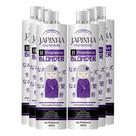 Kit C/6 Japinha Blonder Original Máscara 300ml