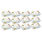 Kit C12 Toalhas Umedecidas Love e Care Premium C96 Mili