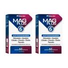 Kit C2 Mag Plus 6 Magnésio C60 Herbamed Energia Muscular