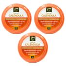 Kit C3 Pasta de Calêndula Peles Secas Ressecadas 30g Vedis