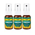 Kit C3 Spray para Hálito Ambroxmel 30ml Cimed