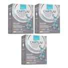 Kit C3 Suplemento Cartiliv Ideal Articulações C60 Equaliv
