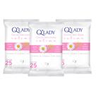 Kit C3 Toalhas Descartável Íntima Sem Perfume Q Lady