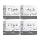 Kit C4 Colágeno Hidrolisado Collapelle C60 Prowin