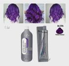 Kit Cabelo Violine Matizador 250g Tinta 60g Ox 90ml - Mairibel / Hidratylife Kit Cabelo Violine Matizador 250g Tinta 60g Ox 90ml - Mairibel / Hidratylife