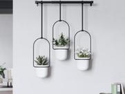 Kit Cachepot Triflora Ajustável Prático Vaso Decorativo Pendente Parede Teto Janela Suspenso 3 Planta Flores Metal Umbra