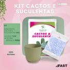 Kit Cactos e Suculentas com Substrato Especial, Pedra Branca Decorativa e Vaso Cachepô